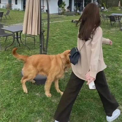 我兄弟的鞋